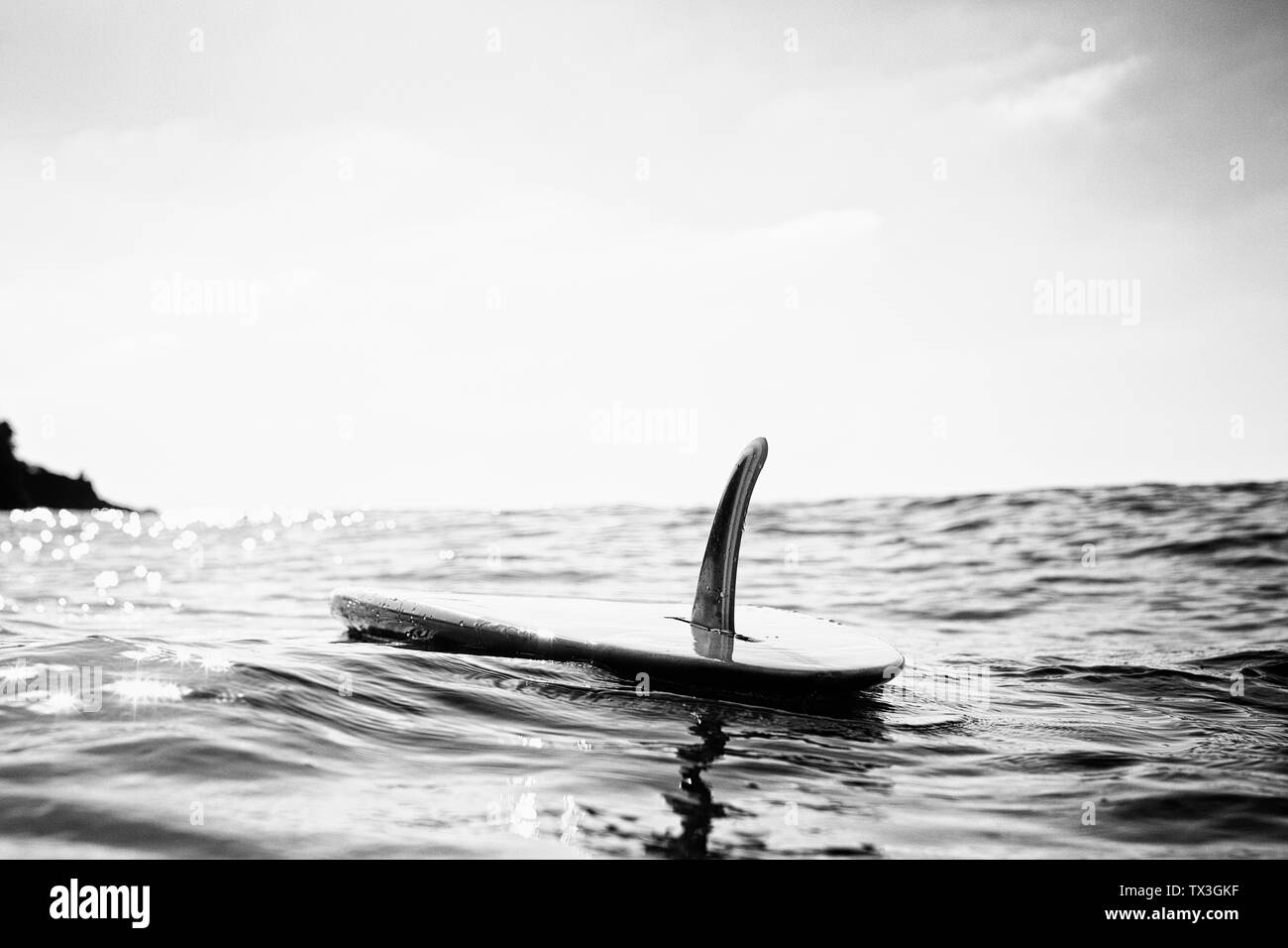 Surfboard with fin floating on sunny ocean water, San Pancho, Nayarit, Mexico Stock Photo