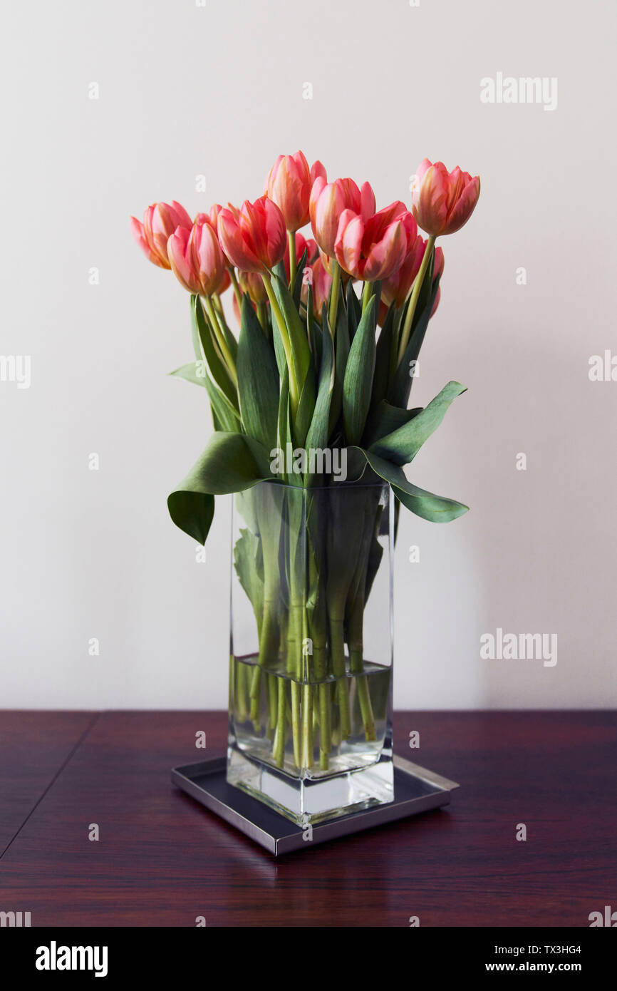 Red tulip bouquet in vase Stock Photo