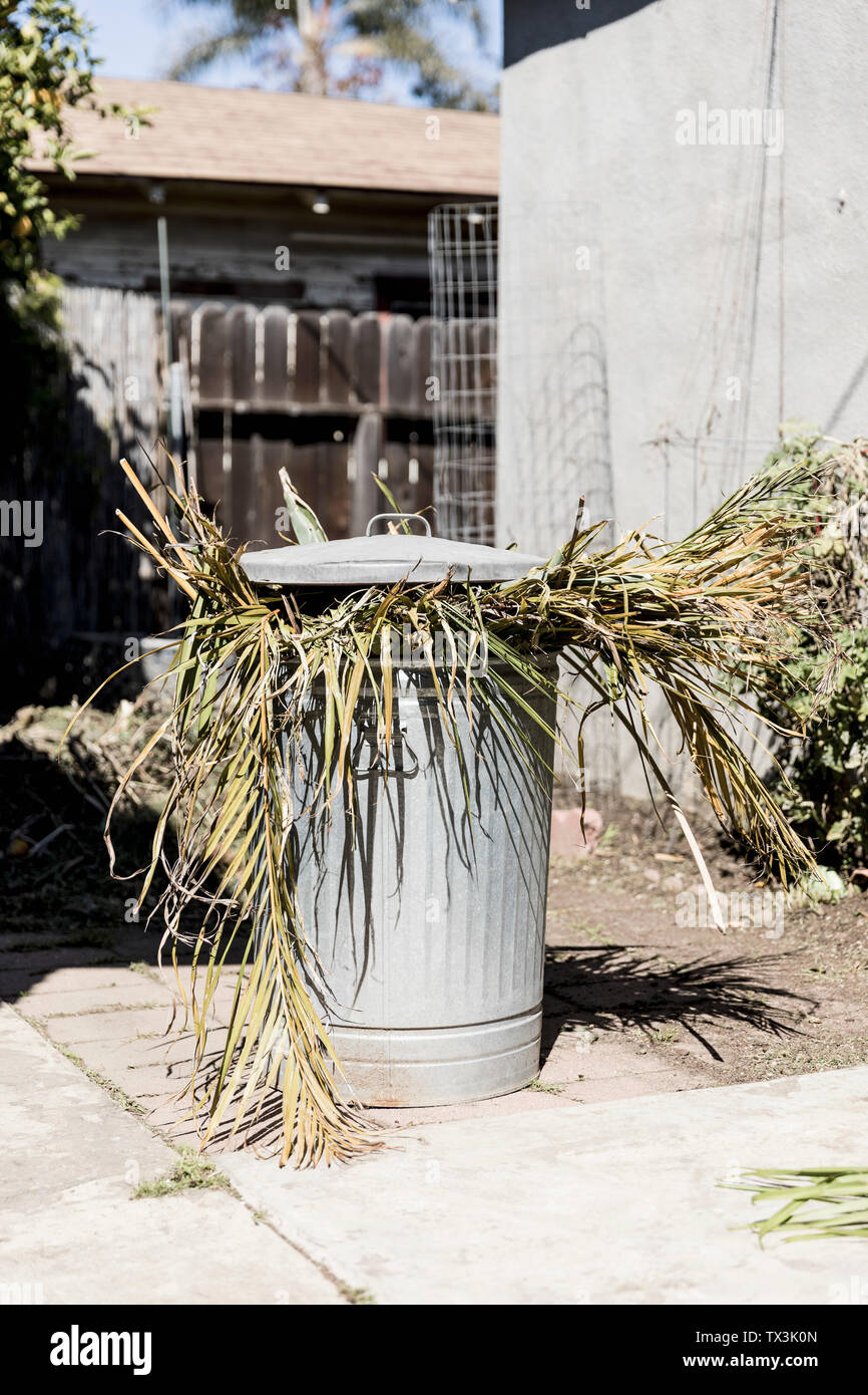 Yard debris in metal garbage can in sunny driveway Stock Photo