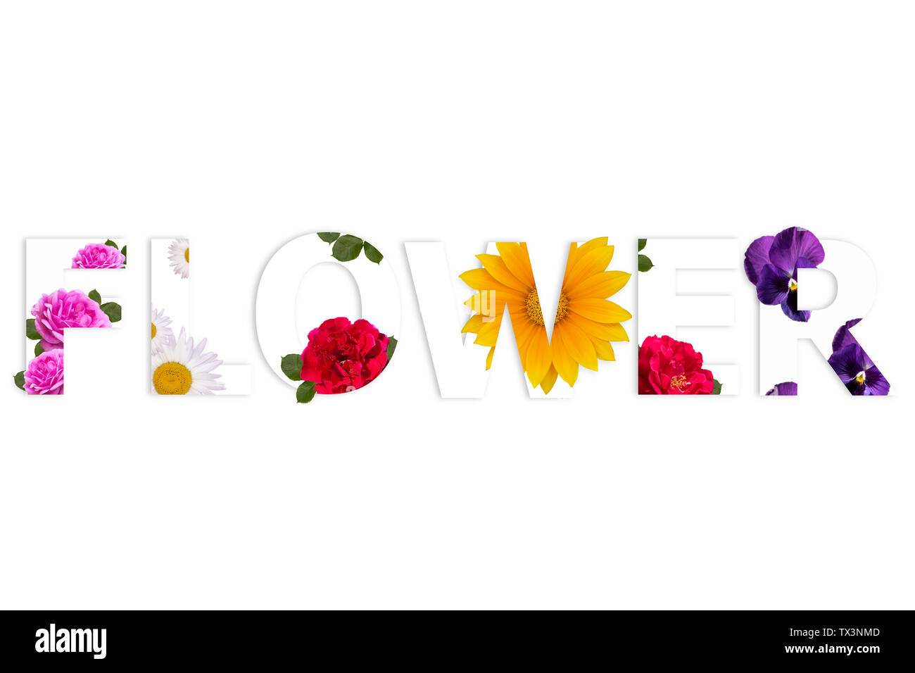 Word FLOWER made of flowers on white background Stock Photo Alamy