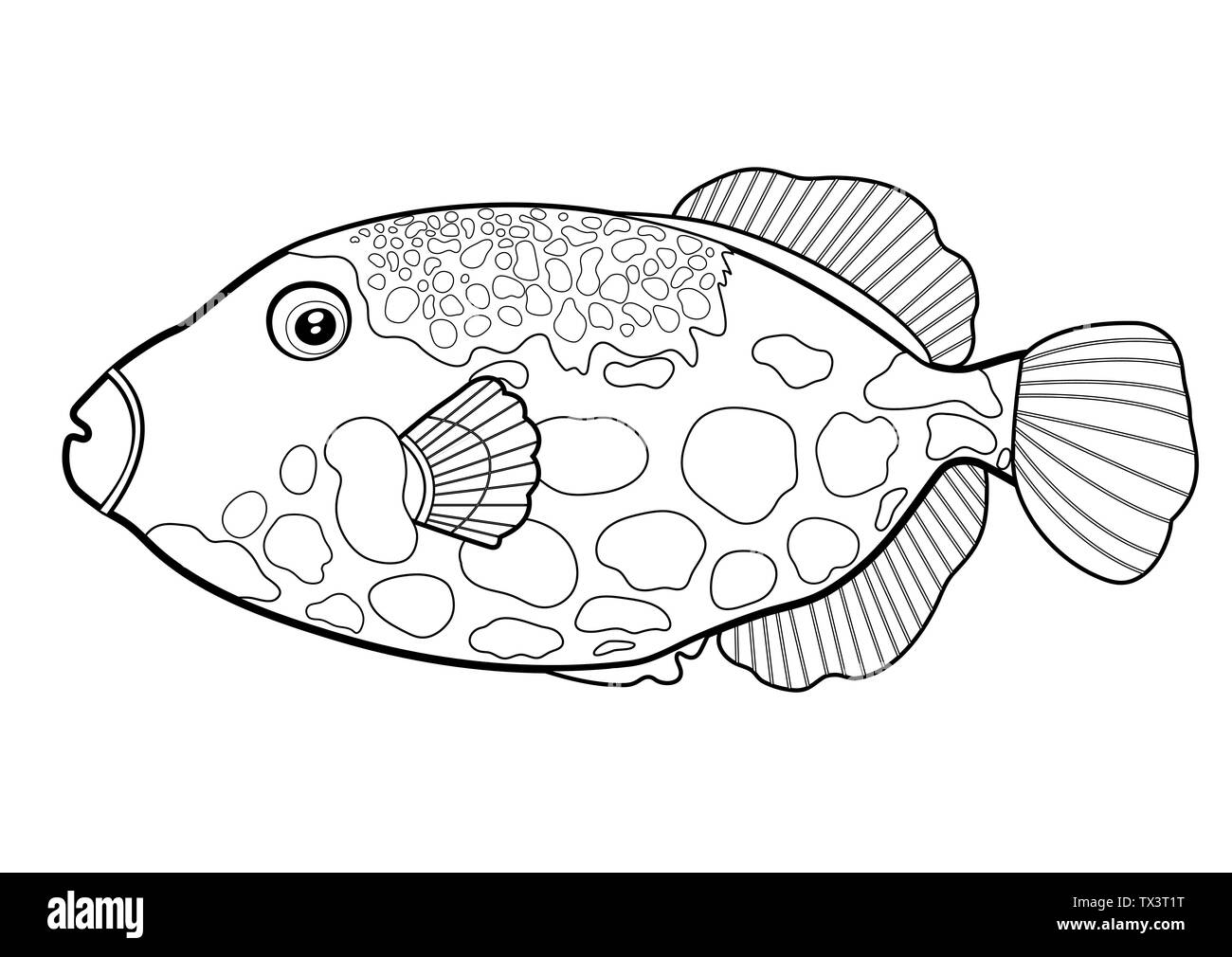 Triggerfish fish clown, line silhouette cartoon hand drawn sea animal, contour maritime character, coloring, sketch. Outline isolated black and white Stock Vector