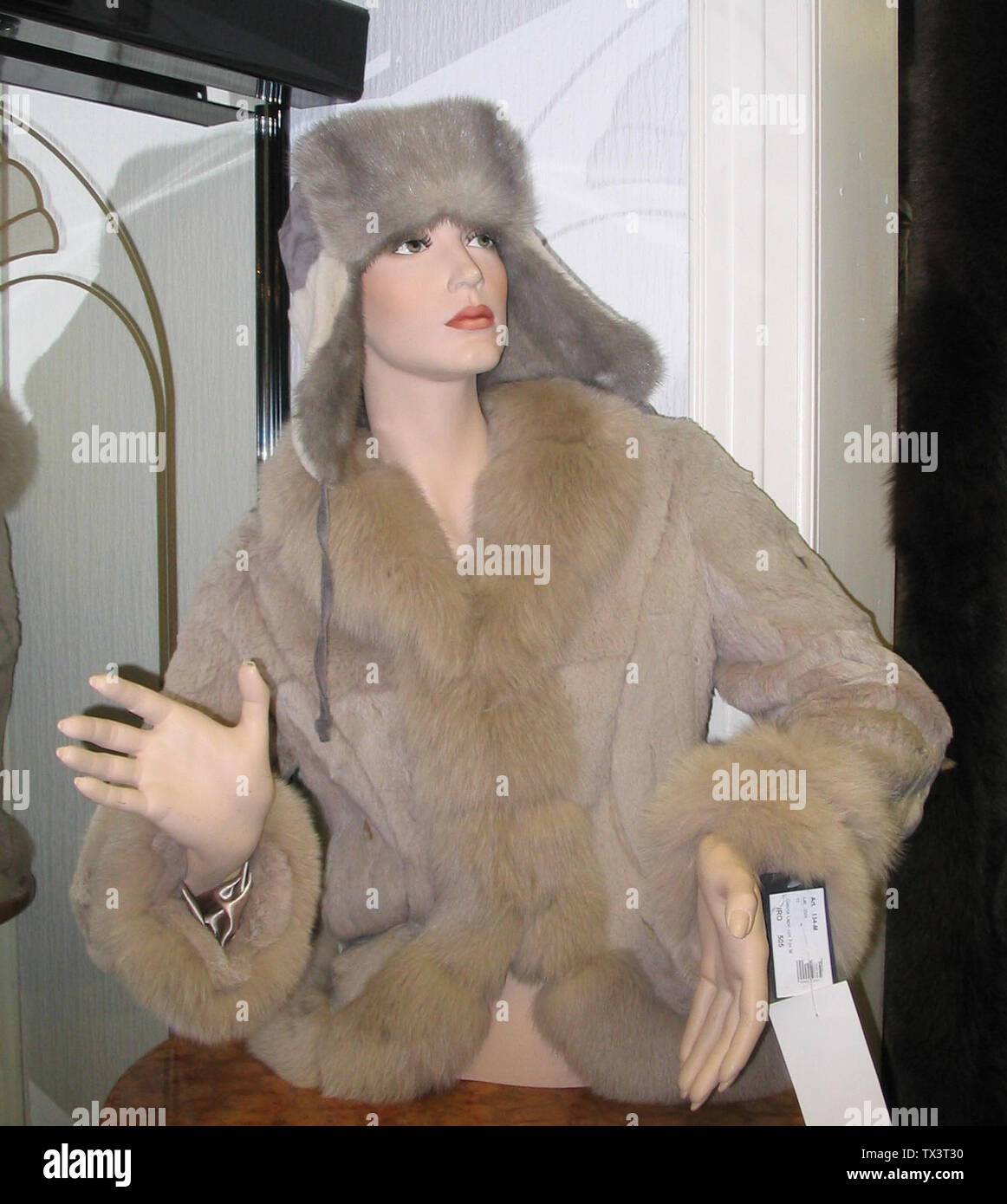 Pelze & Leder Stollenwerk, Albert Stollenwerk, Steinstraße 8, 41352 Korschenbroich, Nordrhein-Westfalen am Tag des Martinsmarkts Samzwieseljacke mit Blaufuchs, Nerz-Uschanka; 7 November 2010; Own work; Kürschner (talk) 10:48, 8 November 2010 (UTC); Stock Photo