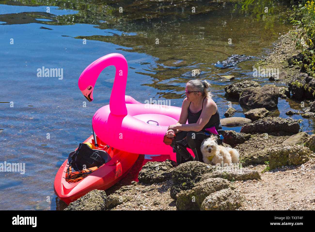 Woman sitting on rocks with pink flamingo inflatable and dog on Dorset Dinghy Day at River Stour, Iford, Dorset UK in June Stock Photo