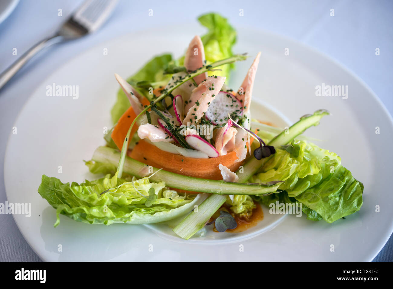 Tuna salad with asparagus, lettuce, carrots and radish, sprinkled with chives Stock Photo