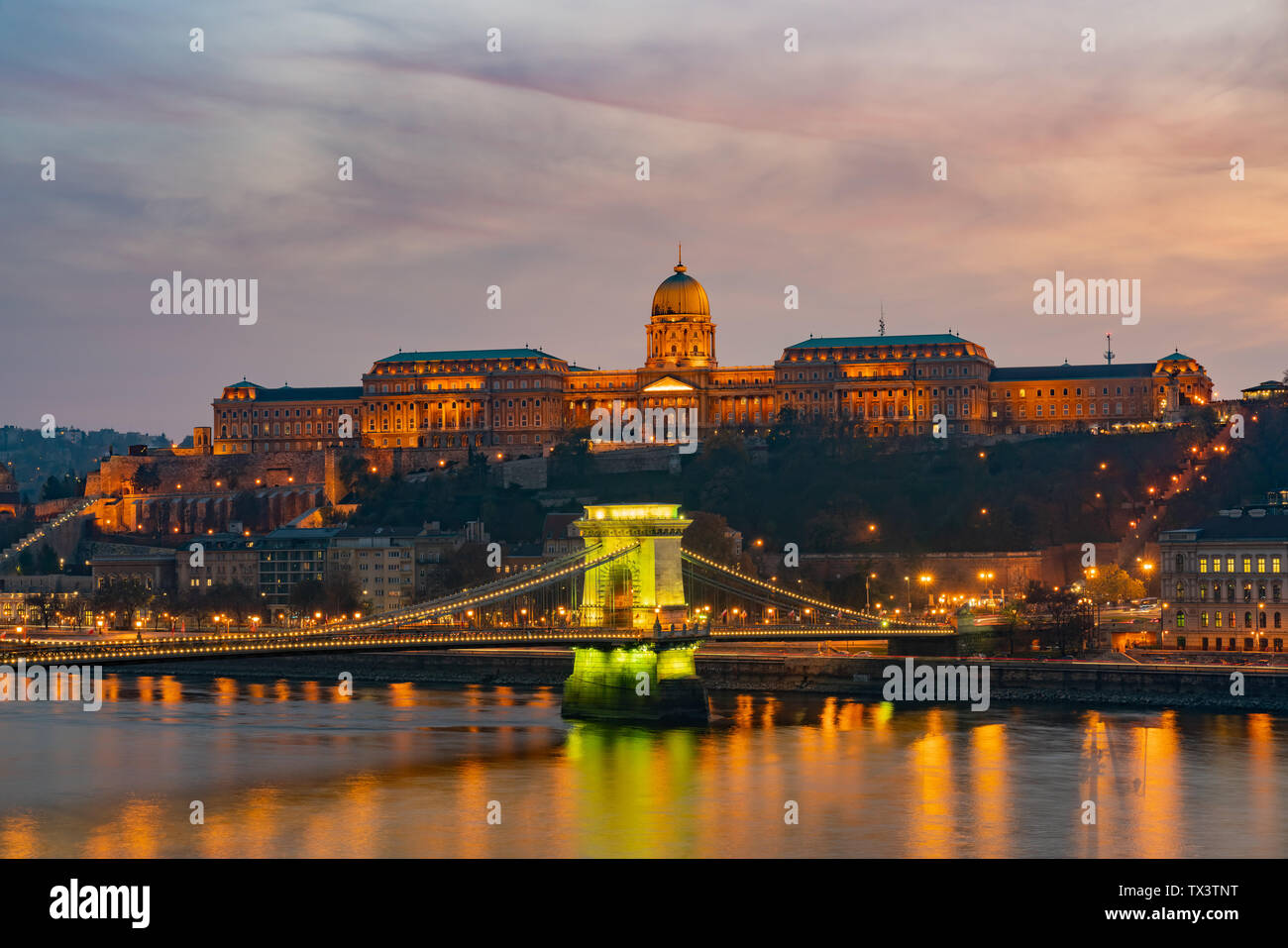 Night view of the famous Széchenyi Chain Bridge with Buda Castle at ...