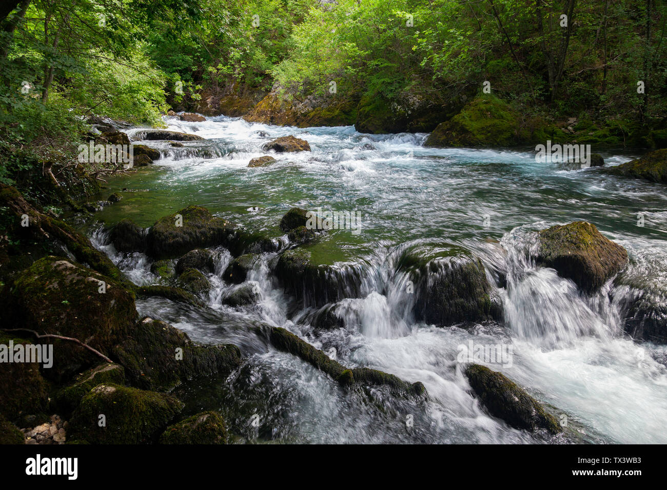 Source of the Zrmanja River with the rapids and rocks covered by moss, Croatia Stock Photo