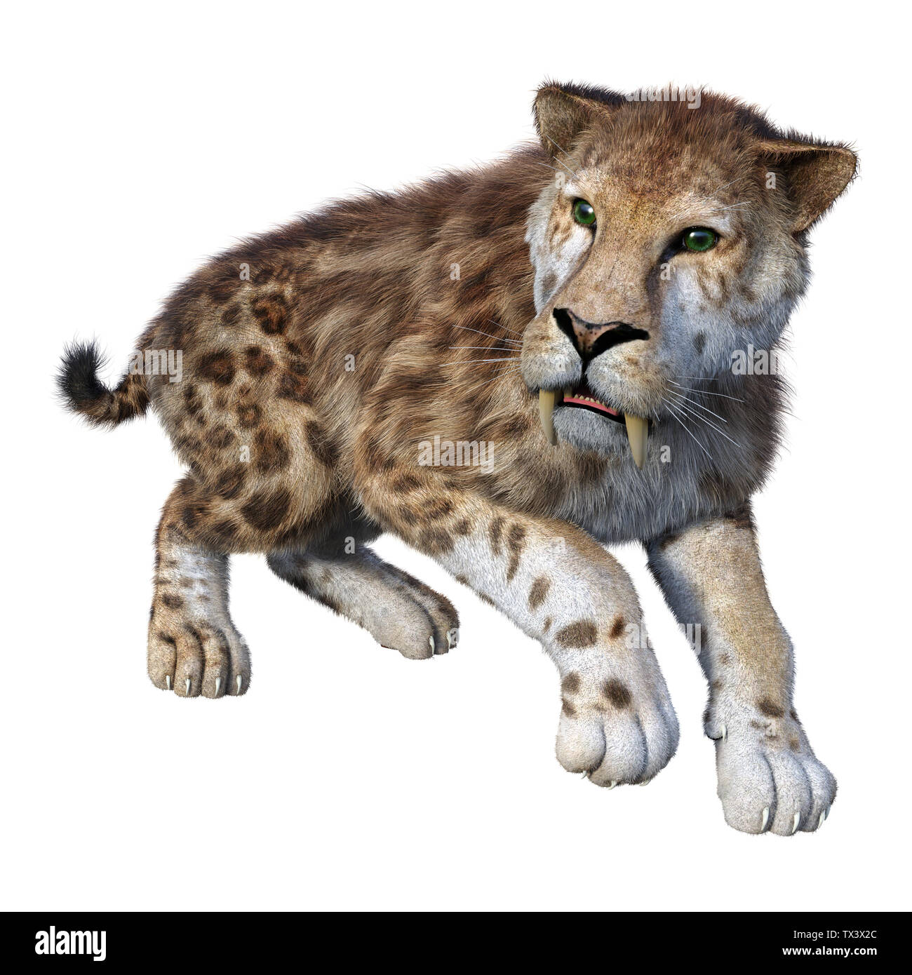 3D rendering of a sabertooth tiger on white Stock Photo - Alamy