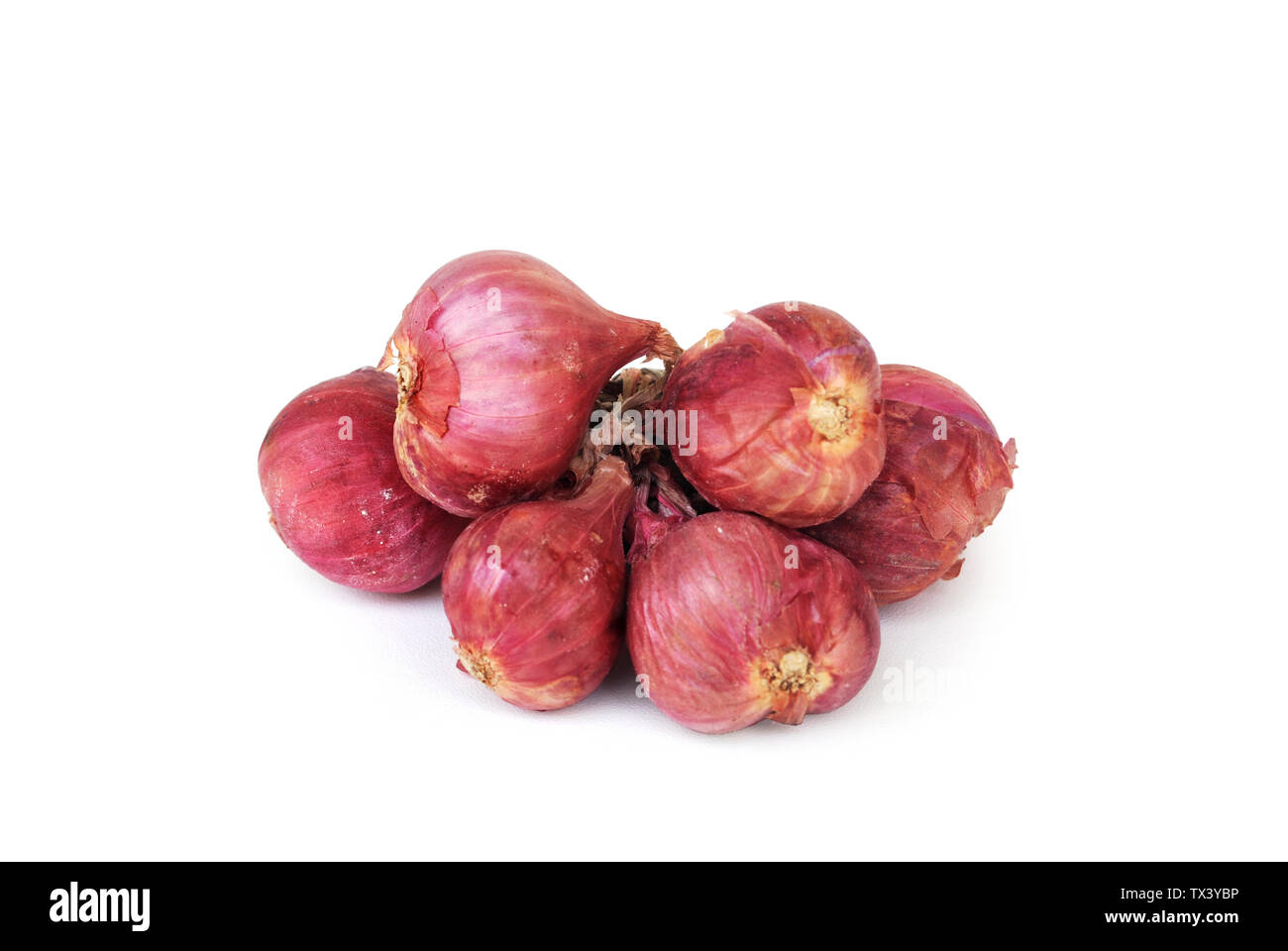 Thai red onion or Shallots. Fresh purple shallots on white background.  Selected focus. Concept of spices in healthy cooking 9629788 Stock Photo at  Vecteezy