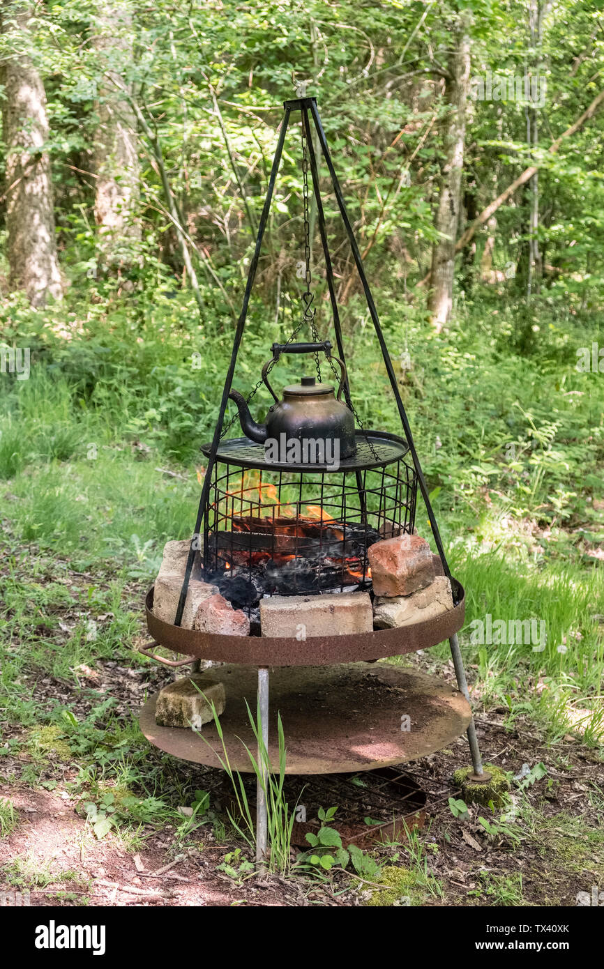 A campfire tripod with a raised fire tray at a picnic in the woods, UK  Stock Photo - Alamy