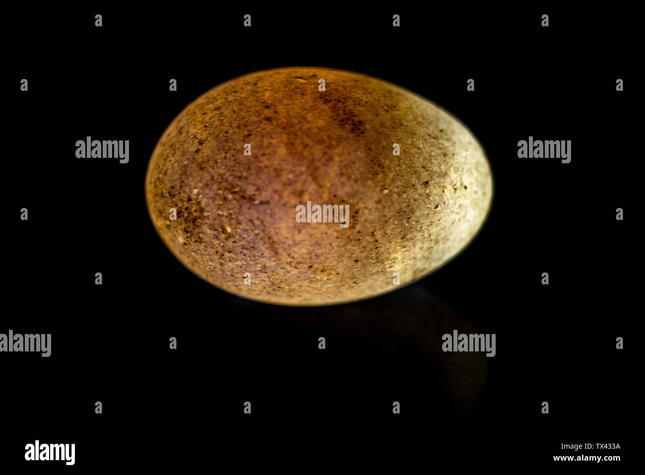 Illuminated egg on a black background Stock Photo