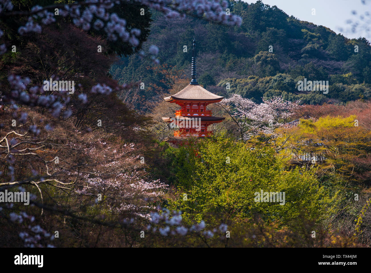 Japan, Kyoto, view to Kiyomizu-dera temple Stock Photo