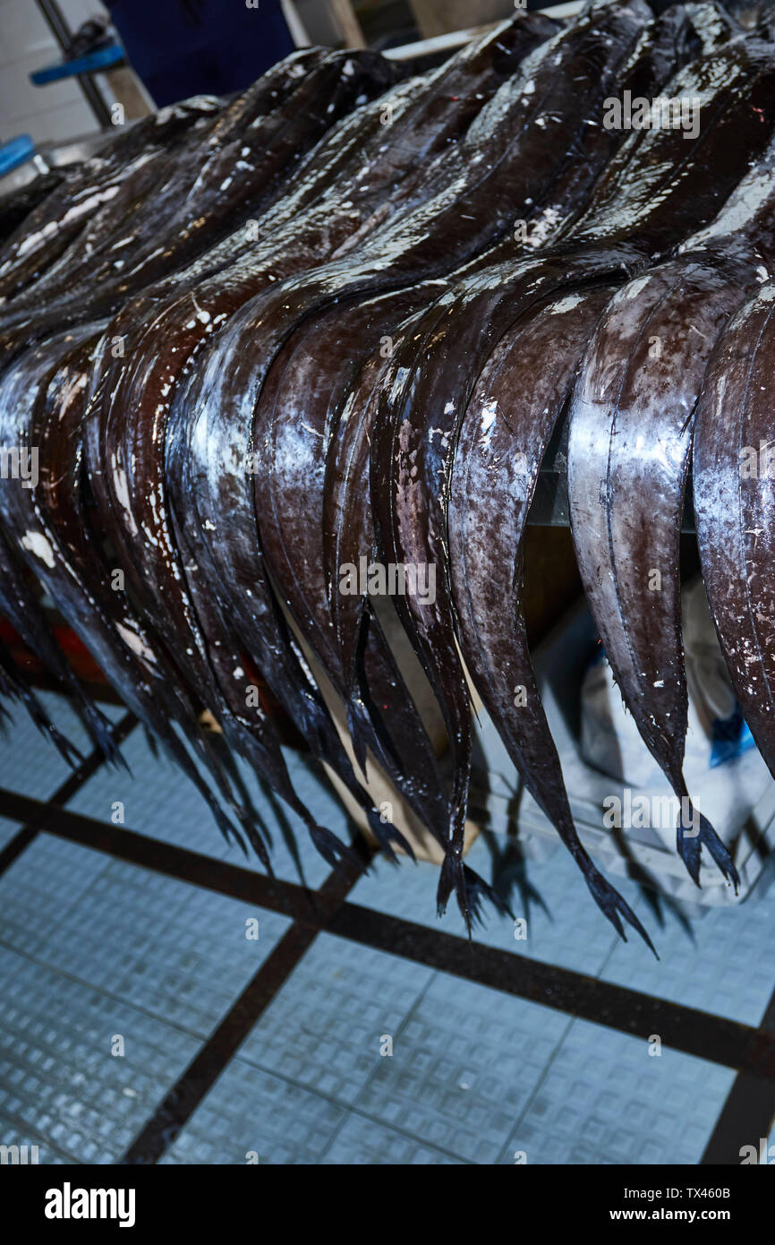 Black Scabbard fish in the Mercado dos Lavradores, farmers' market, Funchal, Madeira, Portugal Stock Photo