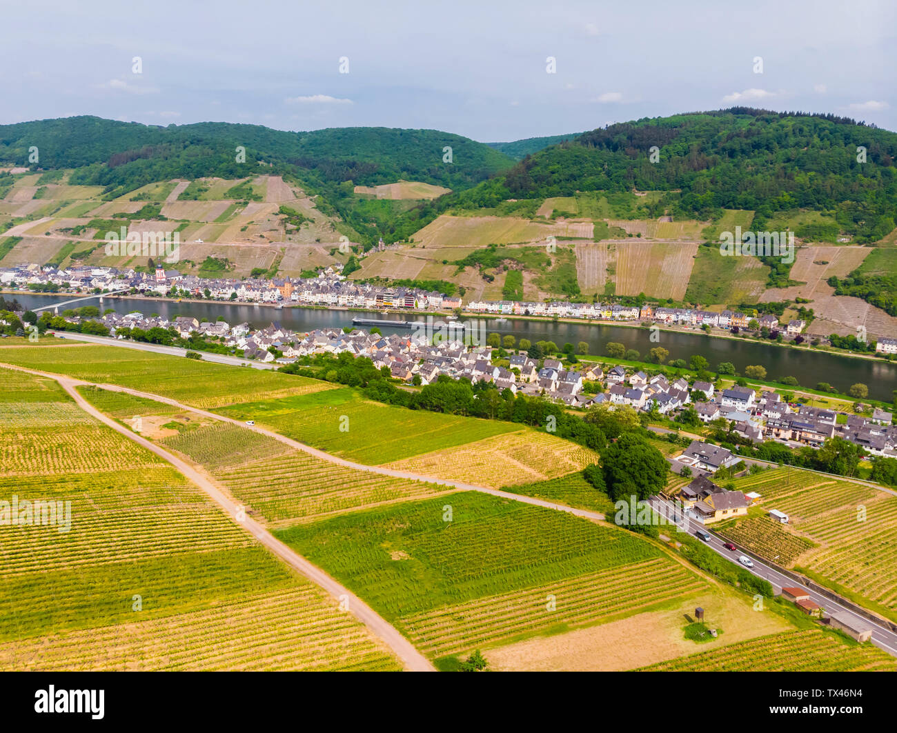 Germany, Rhineland-Palatinate, Zell an der Mosel, vine yards Stock Photo