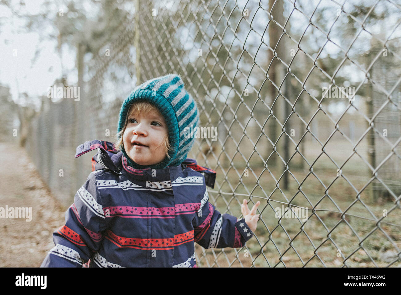 Toddler girl in warm clothes at a fence in forest Stock Photo