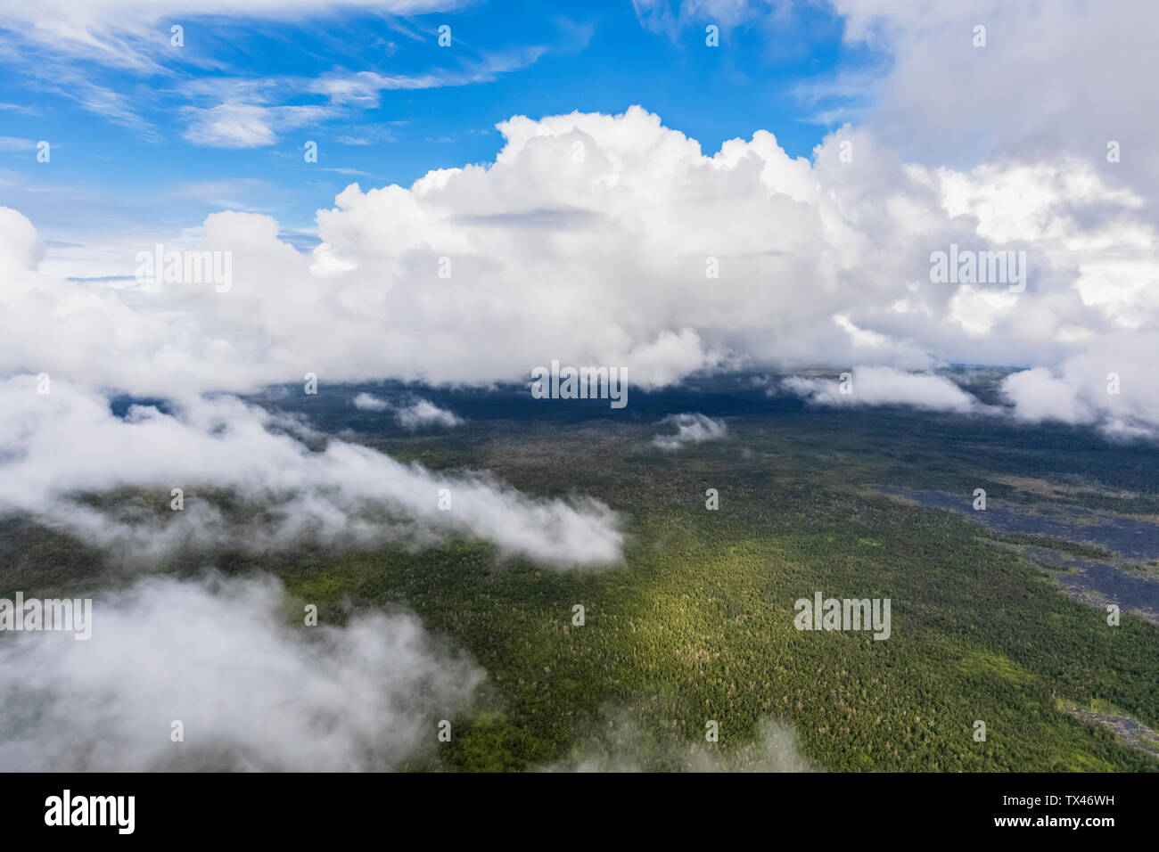 USA, Hawaii, Big Island, aerial view of Puna Forest Reserve Stock Photo