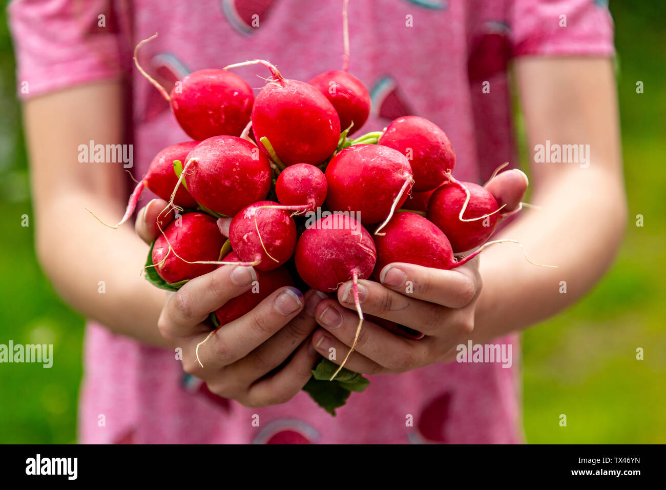 Close-up of girl holding red radish Stock Photo