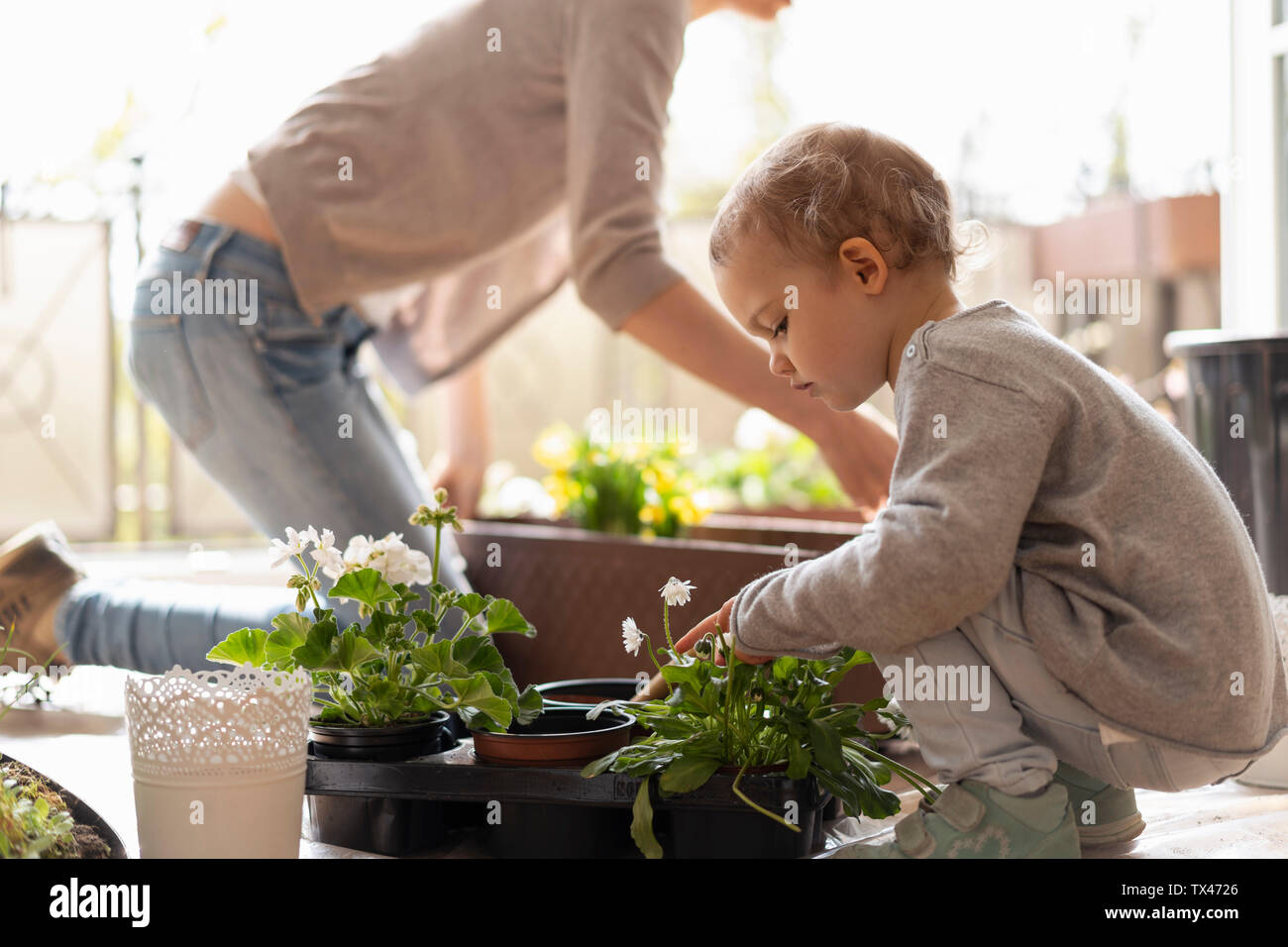 Mother and daughter planting flowers on balcony Stock Photo