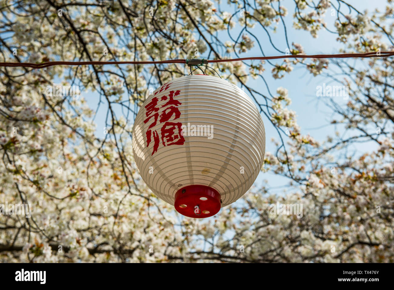 Japanse lampionnen als hanglampen | Oosterse sfeerverlichting