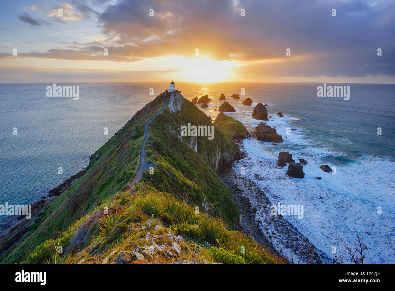 New Zealand, South Island, Southern Scenic Route, Catlins, Nugget Point Lighthouse at sunrise Stock Photo
