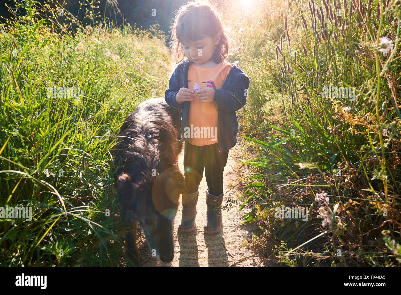 Girl walking with dog hi-res stock photography and images - Alamy