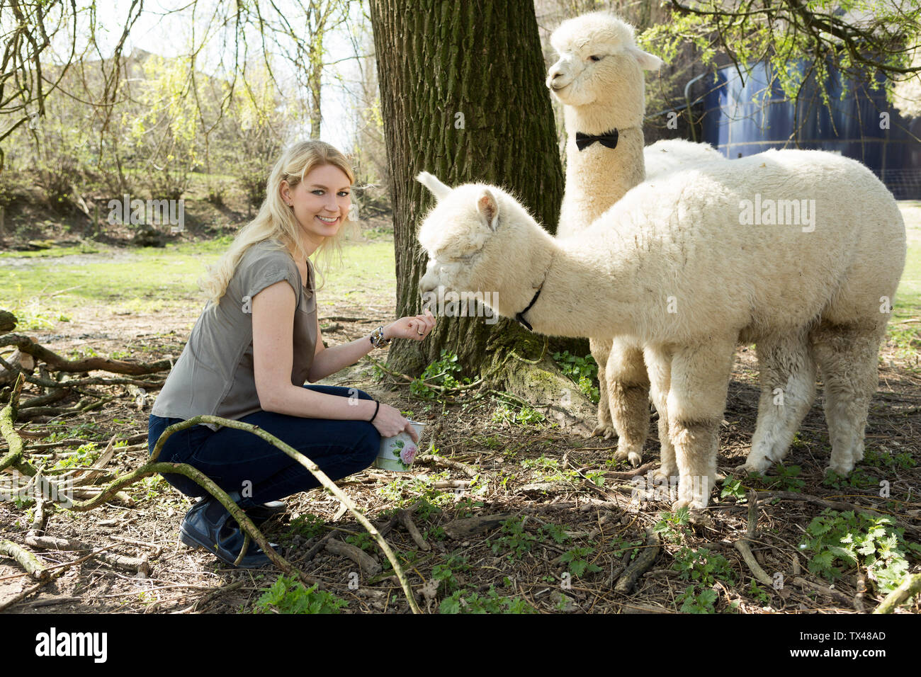 Portrait of happy woman feeding alpaca Stock Photo