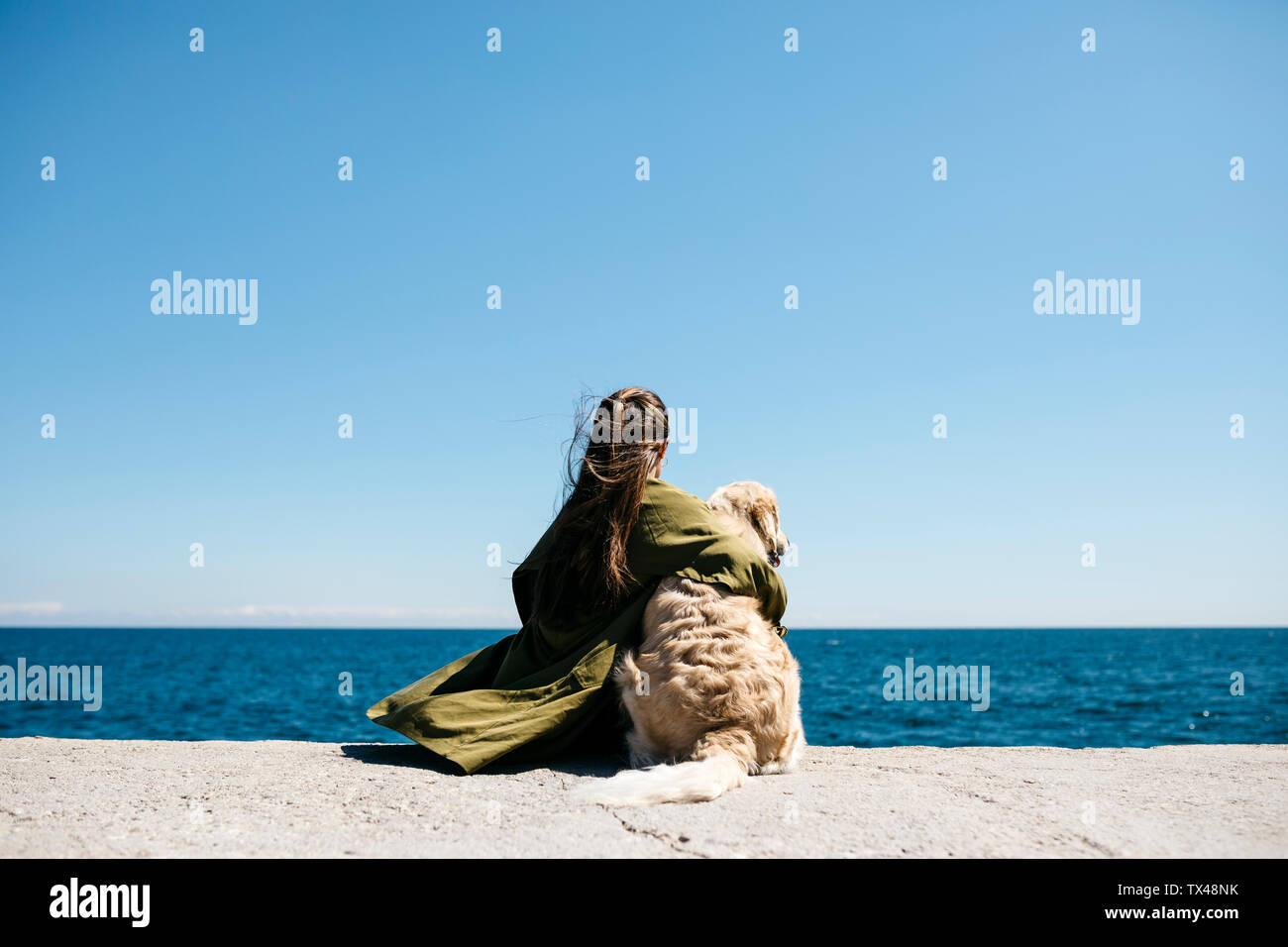 Back view of woman sitting besides her Labrador Retriever at quay looking at horizon Stock Photo
