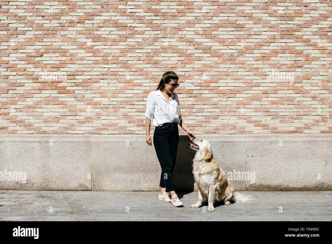 Happy woman stroking her Labrador Retriever in front of patterned brick wall Stock Photo