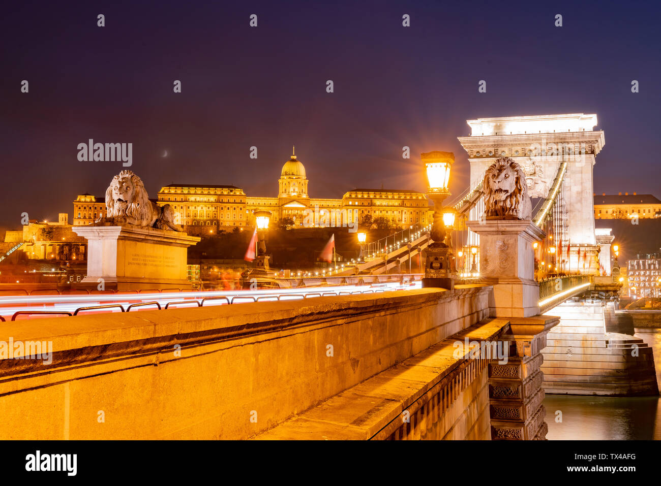 Night view of the famous Széchenyi Chain Bridge with Buda Castle at ...