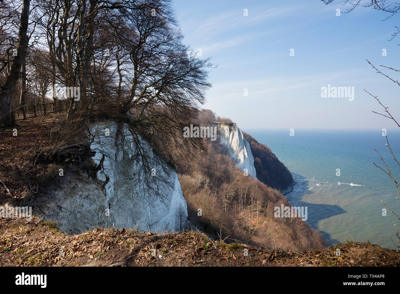 Germany, Mecklenburg-Western Pomerania, Ruegen, Jasmund National Park ...