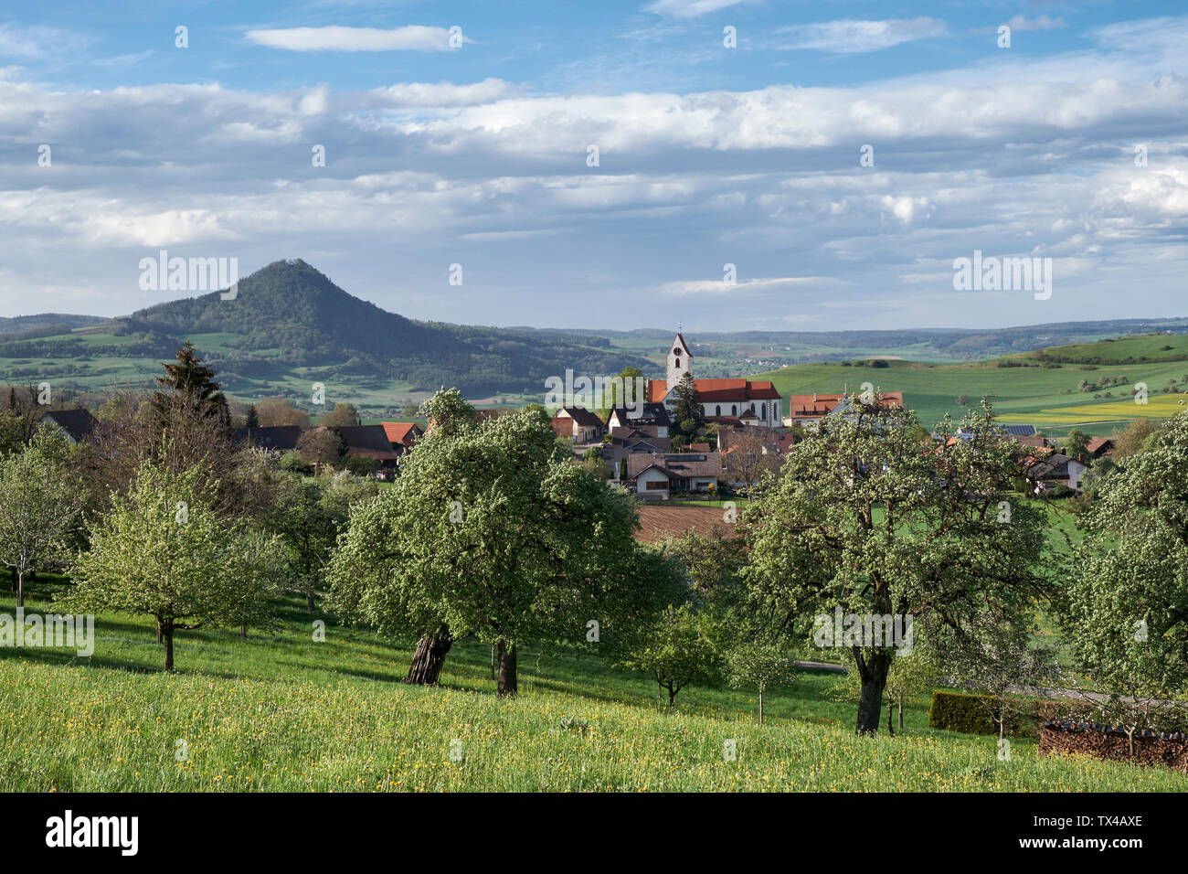 Germany, Weiterdingen, meadow with scattered fruit trees and Hegau volcano in the back Stock Photo