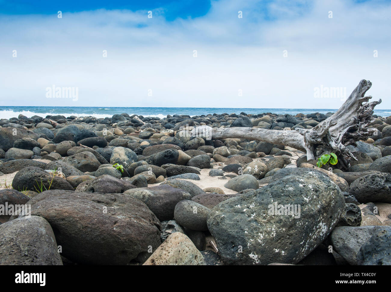 Hawaii, island of Molokai, Halwa Bay, huge stones on the Halawa beach Stock Photo