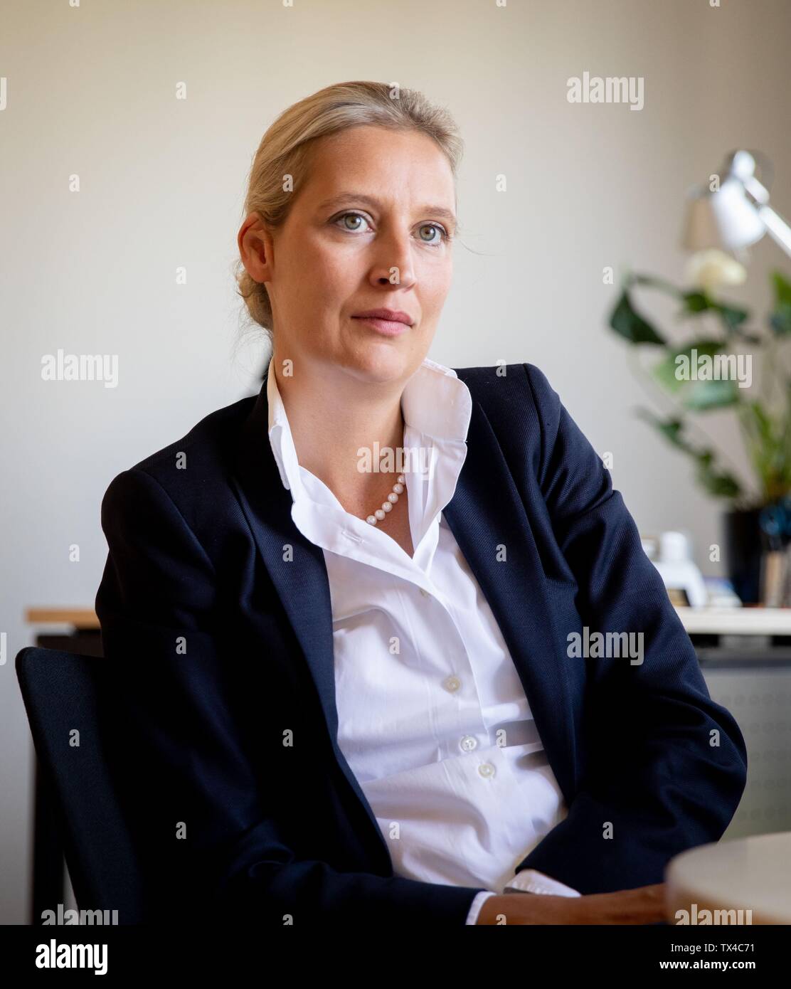 24 June 2019 Berlin Alice Weidel Leader Of The Afd Parliamentary Group Speaks In An Interview With A Reporter From The German Press Agency Dpa Photo Kay Nietfeld Dpa Stock Photo Alamy