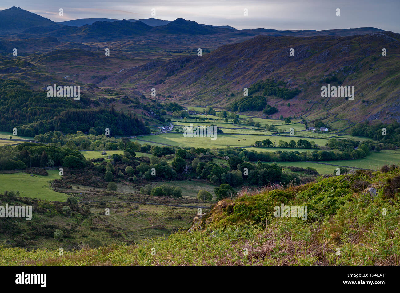 Dawn over Eskdale Green, from Muncaster fell, Eskdale, Lake District, Cumbria, England UK Stock Photo