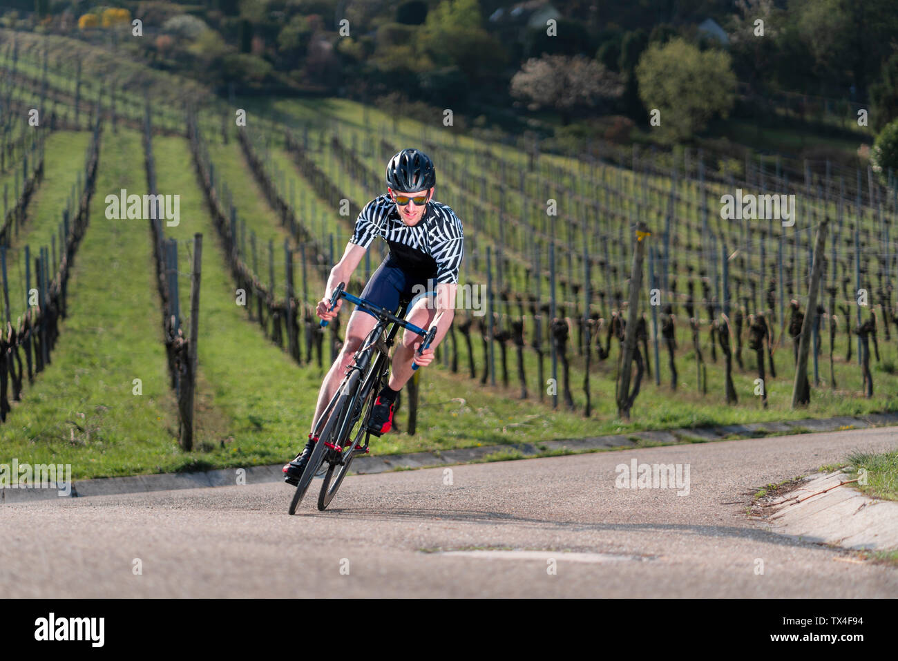Germany, Baden-Wuerttemberg, Fellbach, man on racing cycle on country road through vineyards Stock Photo