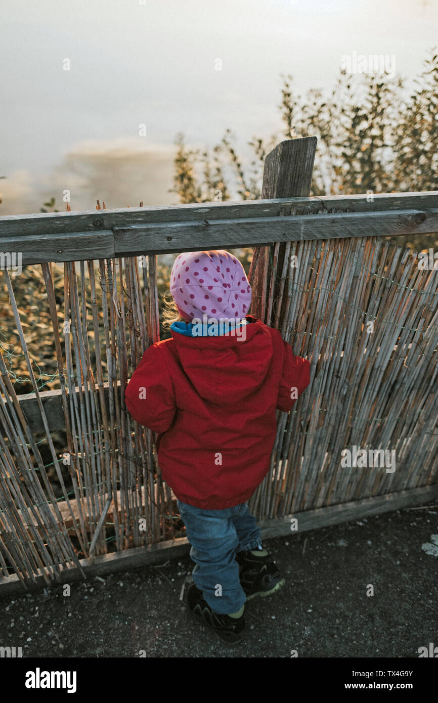 Rear view of toddler girl in warm clothes standing at a wooden fence in nature Stock Photo
