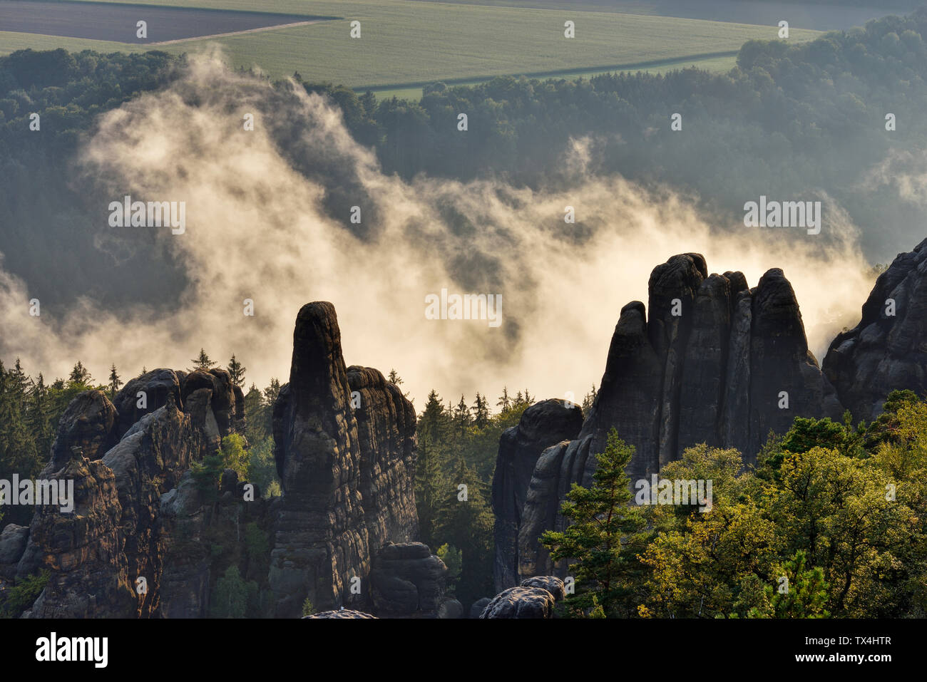 Germany, Saxony, Elbe Sandstone Mountains, rocks and rock needles of the Schrammsteine at backlight Stock Photo