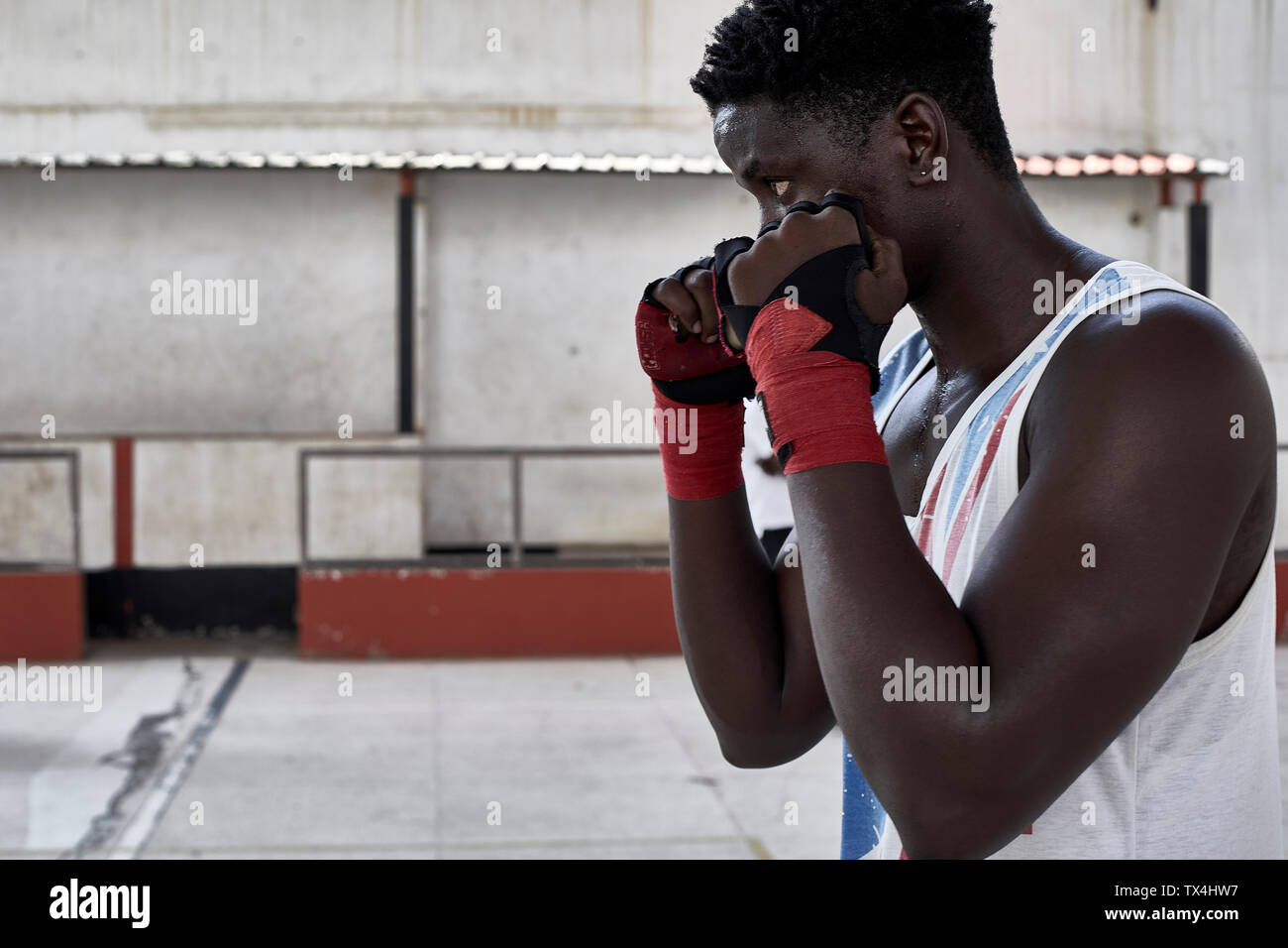 Portrait of boxer practicing Stock Photo