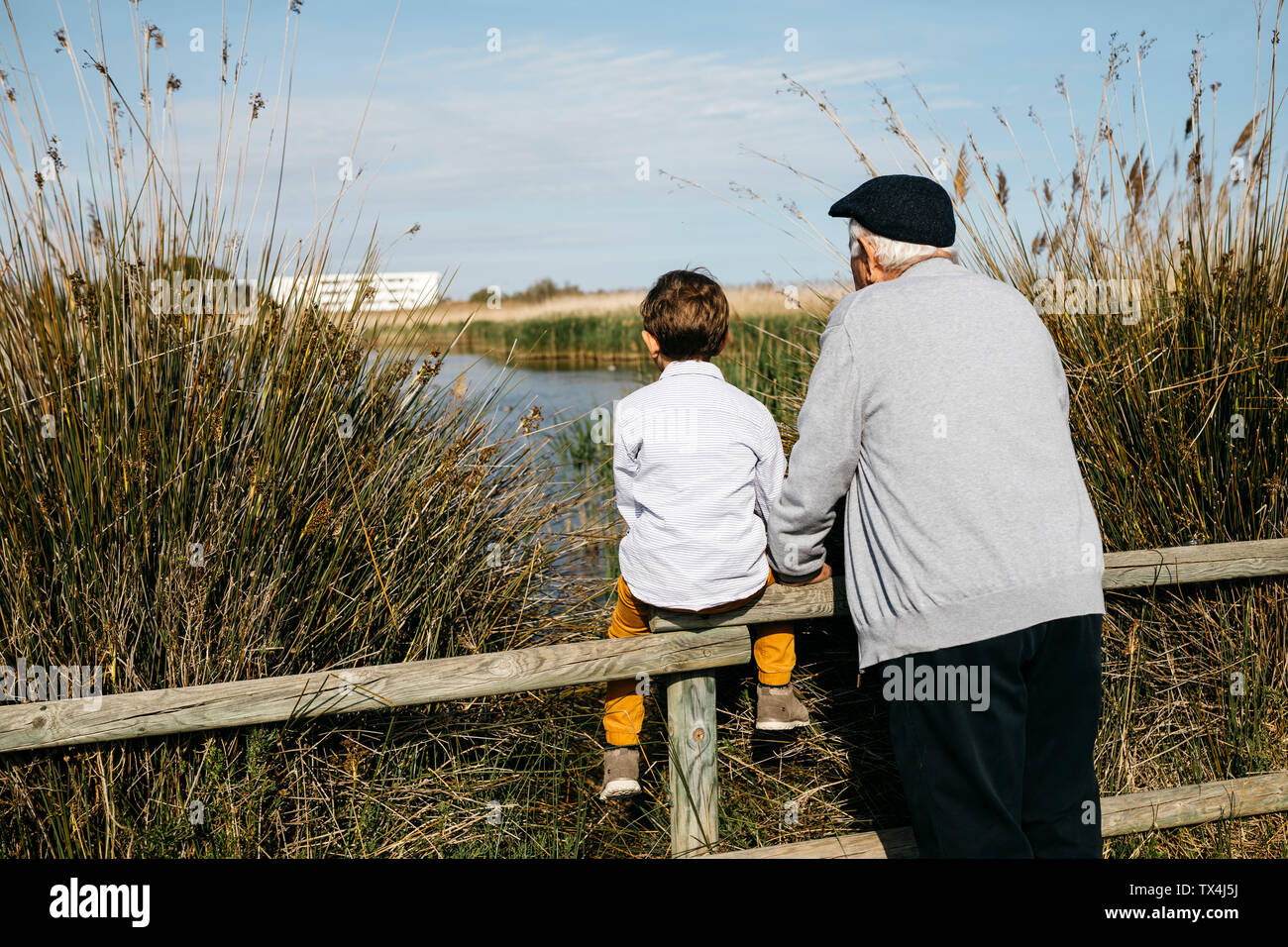 Back view of little boy and his grandfather looking at a lake Stock ...