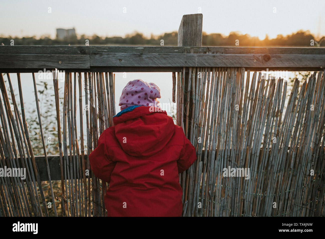 Rear view of toddler girl in warm clothes at a lake Stock Photo