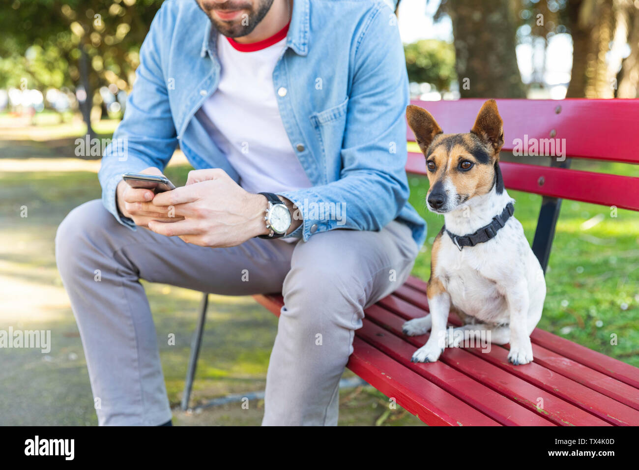 Portrait of dog sitting besides his owner on park bench Stock Photo - Alamy