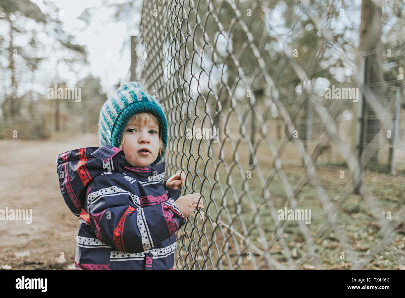 Portrait of toddler girl in warm clothes at a fence in forest Stock Photo
