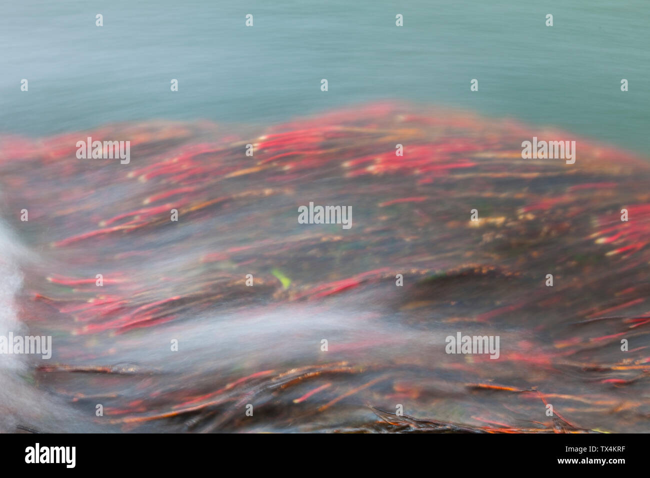 Colores de colores del otoño hi-res stock photography and images - Alamy