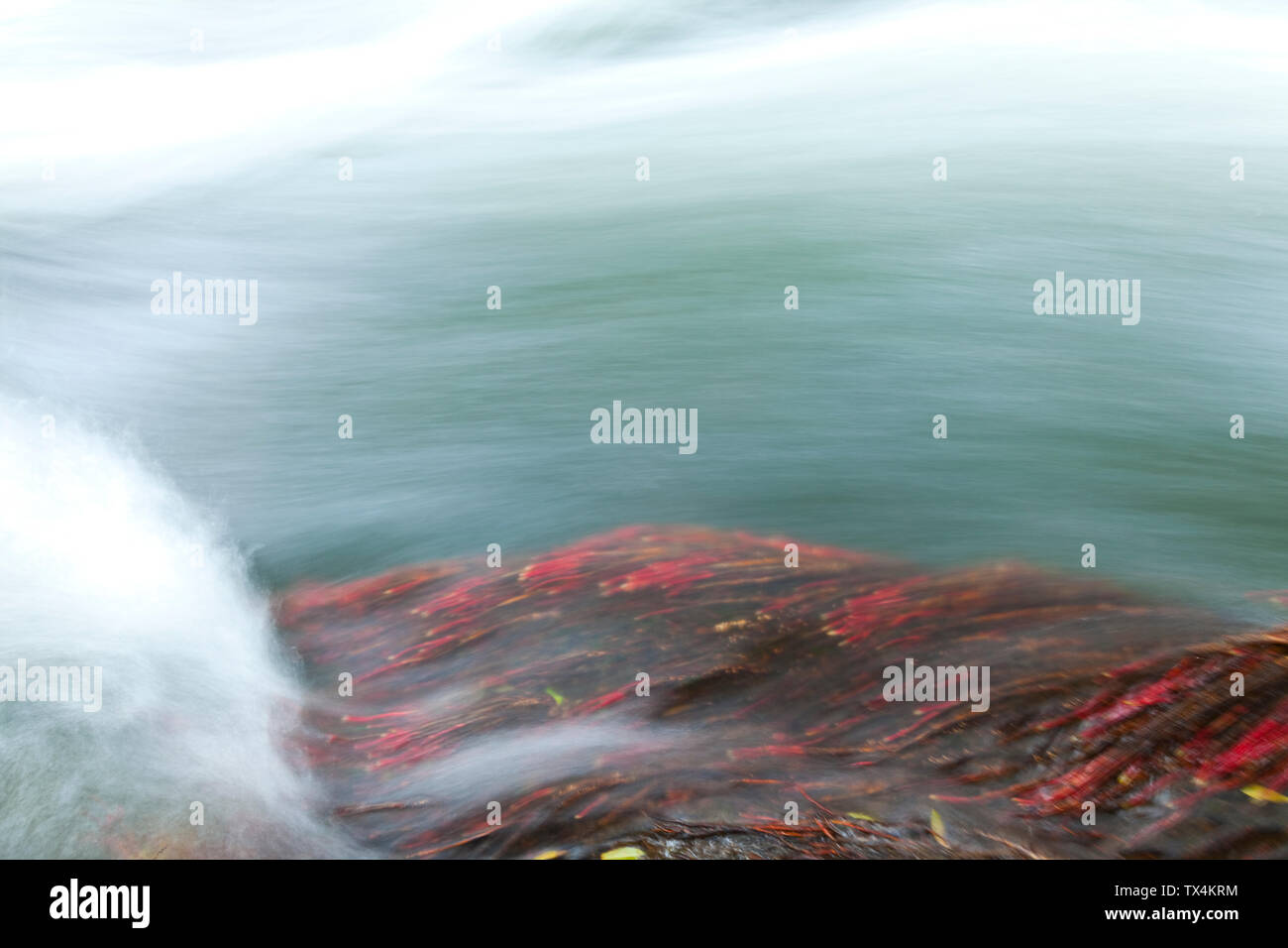 Colores de colores del otoño hi-res stock photography and images - Alamy
