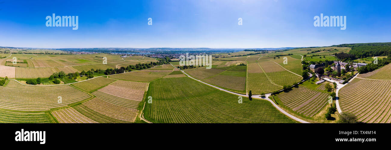 Germany, Hesse, Oestrich-Winkel, Rheingau, Aerial view of Schloss Vollrads, vine yards Stock Photo