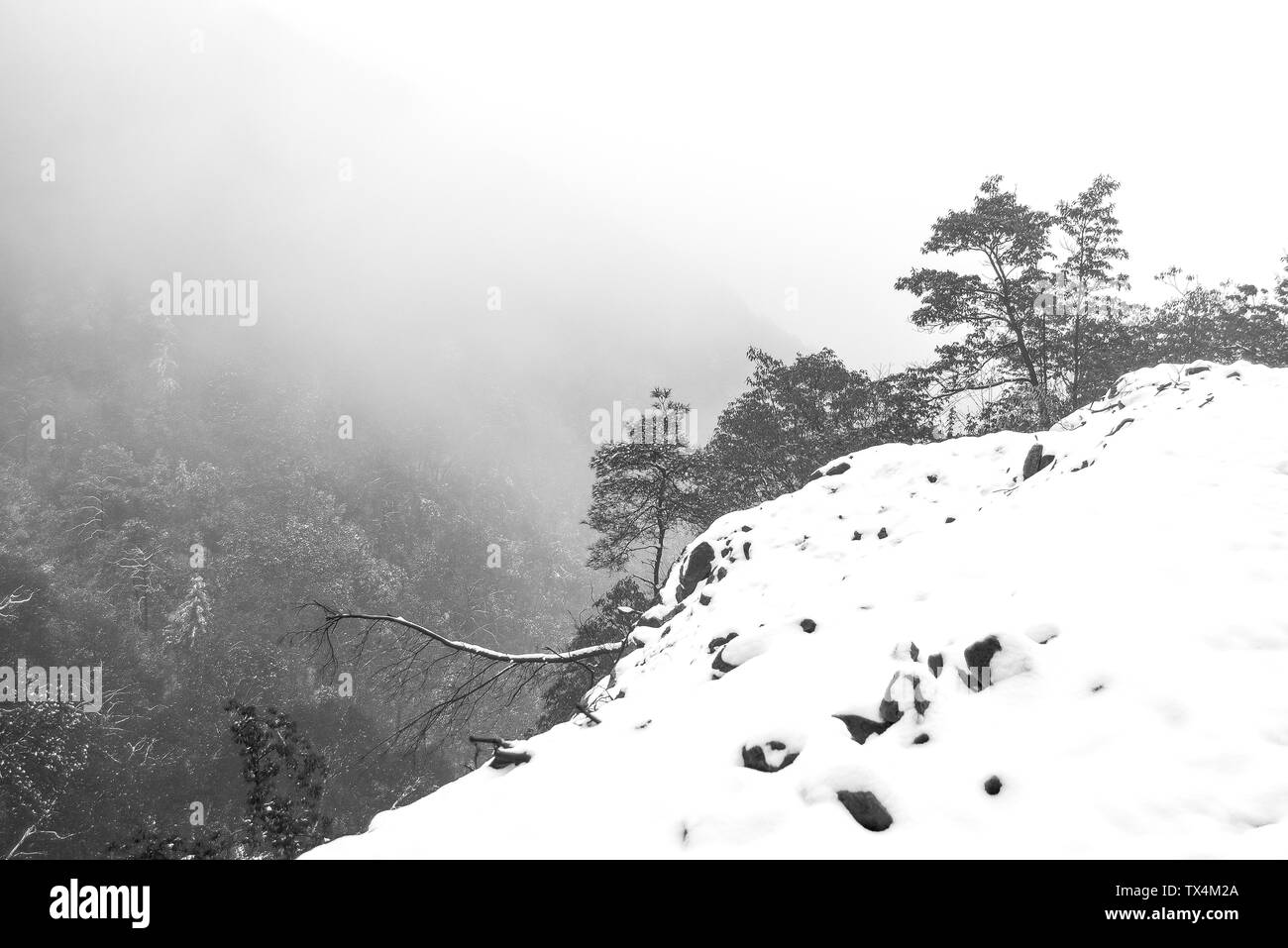 Black and white scenery of heavy snow in Xiaoshan, Hangzhou Stock Photo