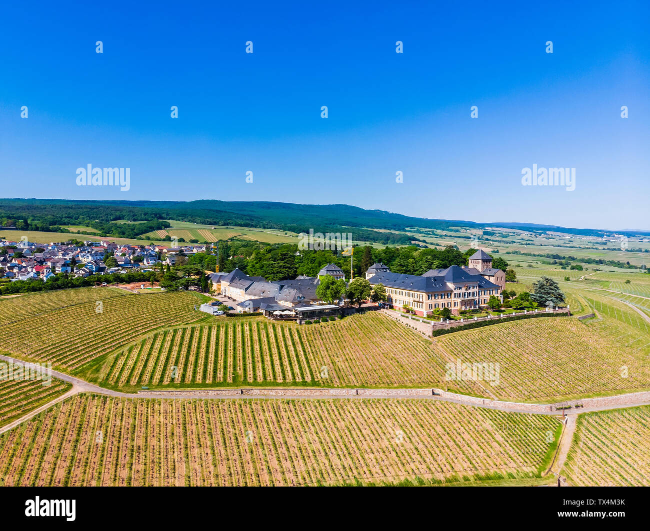 Germany, Hesse, Rheingau, Geisenheim, vine yards and Castle Johannisberg Stock Photo