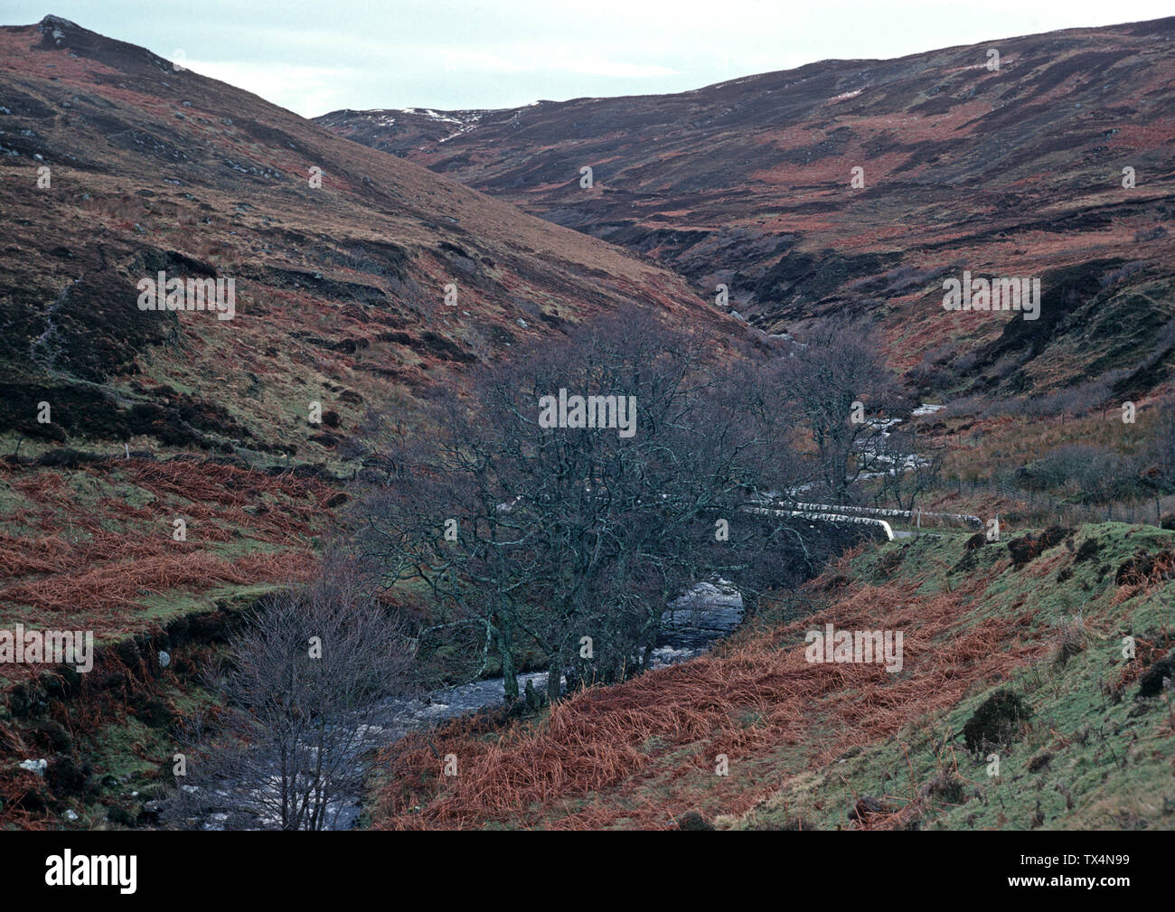 Mull of Kintyre, Kintyre peninsula, Argyll and Bute, Southwest Scotland
