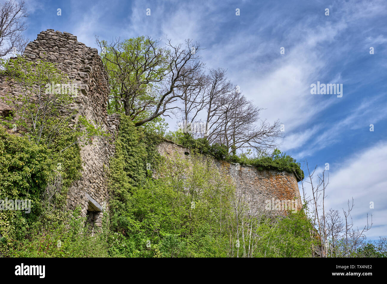 Germany, Baden-Wuerttemberg, Constance district, castle ruin Hohenkraehen Stock Photo