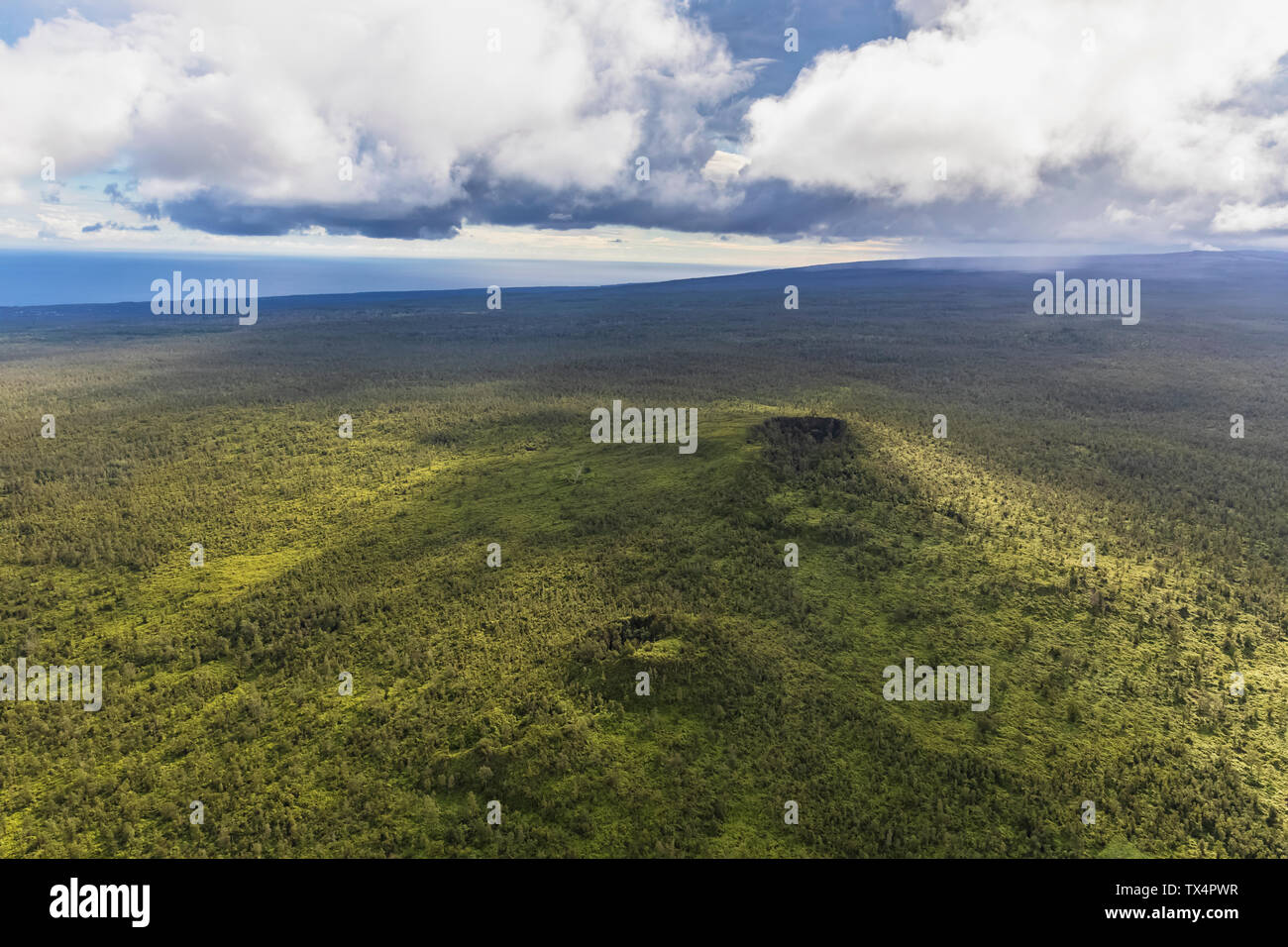 USA, Hawaii, Big Island, aerial view of Puna Forest Reserve Stock Photo