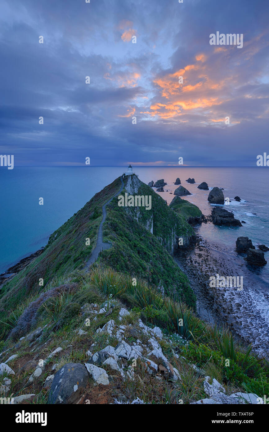New Zealand, South Island, Southern Scenic Route, Catlins, Nugget Point Lighthouse in the morning Stock Photo